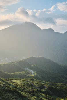 社保基金去年四季度持股动向揭晓;重仓个股表现突出。 股票财经 社保基金去年四季度持股动向揭晓;重仓个股表现突出。 股票财经