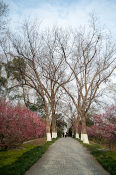 能源枷锁下的经济重构:印度股市资本撤离的哲学思辨 股票财经