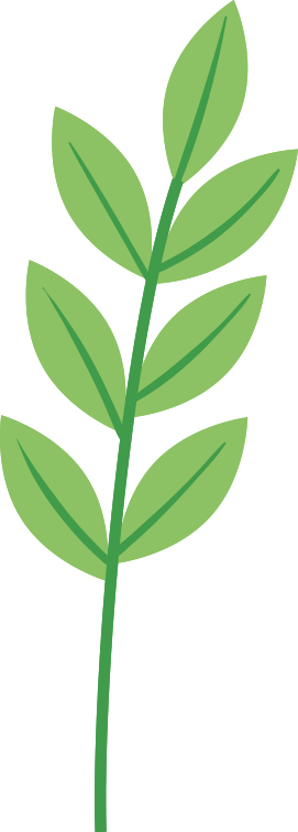 深度解析：宁夏四部门如何以两会精神为引擎，驱动生态治理与市场监管协同升级