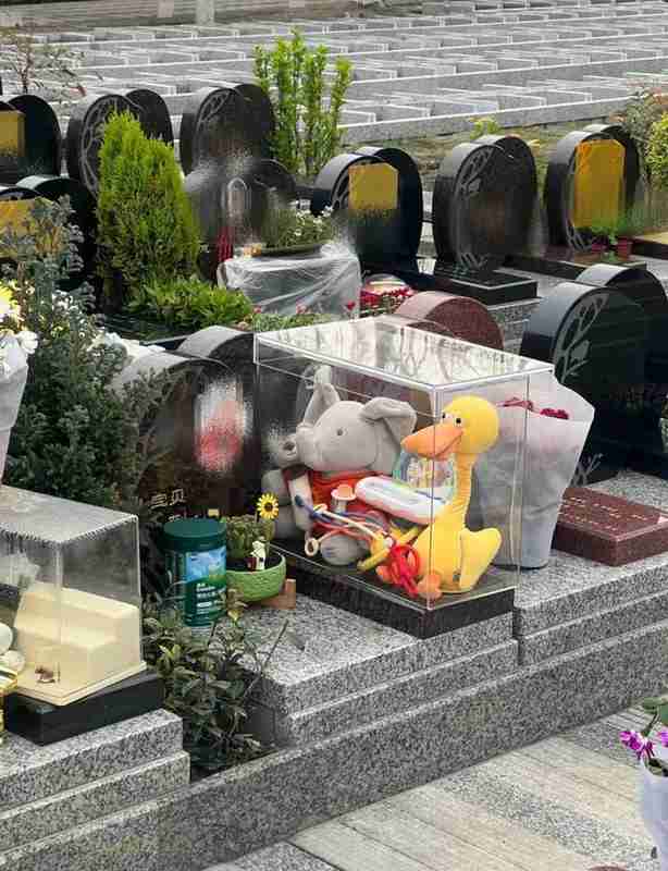  殡葬新规破局：公益属性回归背后的行业博弈与监管重构 新闻