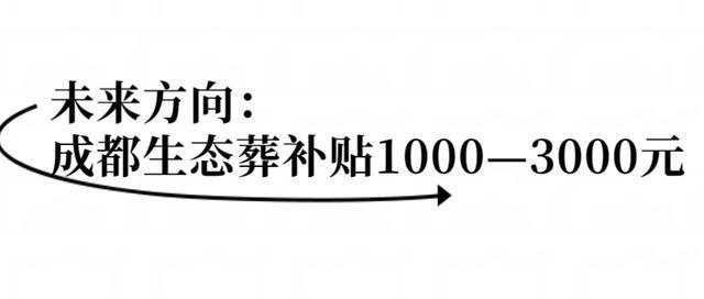  殡葬新规破局：公益属性回归背后的行业博弈与监管重构 新闻