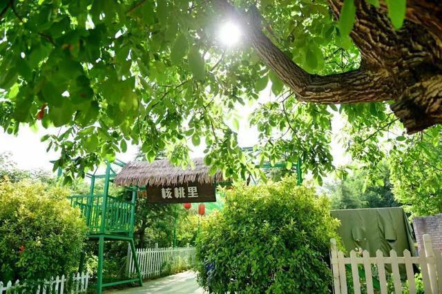  从手忙脚乱到游刃有余：郑州樱桃沟露营烧烤的进阶法则 文化旅游