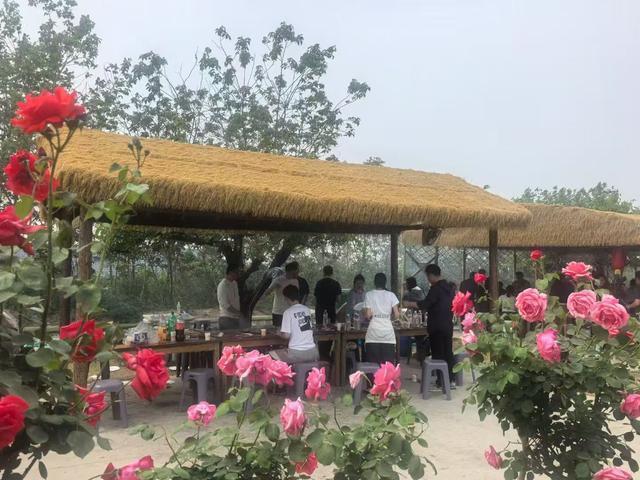  从手忙脚乱到游刃有余：郑州樱桃沟露营烧烤的进阶法则 文化旅游