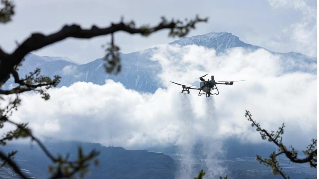  飞亚达2026年Q1财报深度解读：净利润增长43.64%的技术驱动力与市场逻辑 股票财经