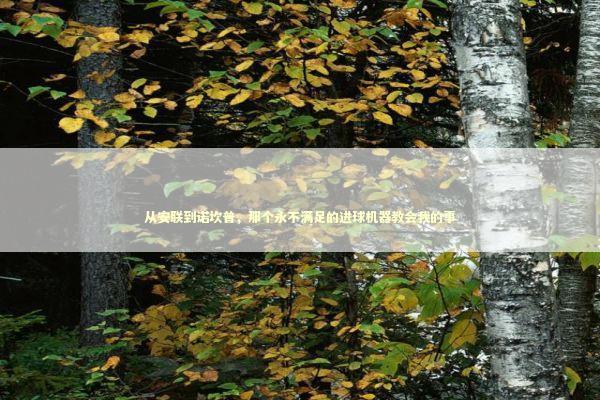 从安联到诺坎普，那个永不满足的进球机器教会我的事 体育新闻