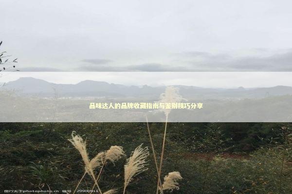 品味达人的品牌收藏指南与鉴别技巧分享 时尚用品