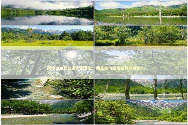 跨境自由职业者的血泪史：我是如何搞定全球收款的 股票财经