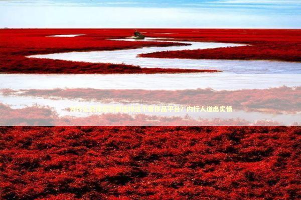 为什么资深买家都选择这个奢侈品平台？内行人道出实情 时尚用品