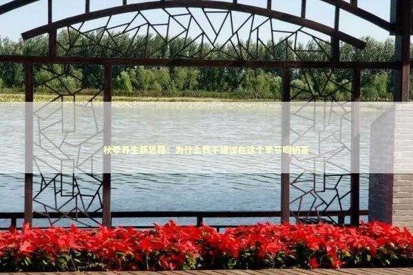 秋季养生新思路：为什么我不建议在这个季节喝奶茶 健康养生