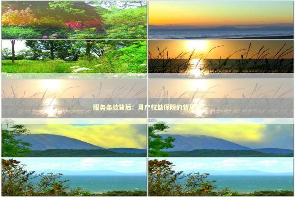 服务条款背后：用户权益保障的新思路 IT技术