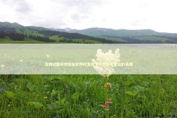 当我试图寻找安全软件时发现了一个不可思议的真相 IT技术