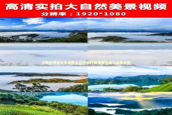 今晚欧洲足坛多场焦点战即将打响观赛指南与趋势分析 体育新闻